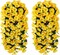 Artificial Fake Hanging Flowers Plants for Outdoor Outside Spring Decoration, 2PCS Faux Silk UV Resistant Look Real Yellow Morning Glory Trailing Vines for Home Planter Porch Patio Balcony
